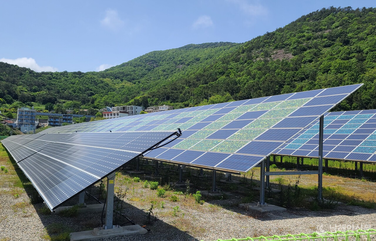 ▲ 여수세계박람회장 내에 설치된 태양광발전 시설. (사진=마재일 기자)